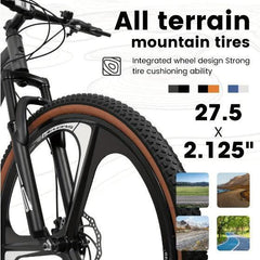 High-carbon Steel Frame Fork Bike