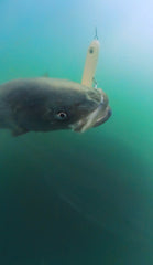 Magictail Top Water Spook Lures